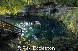 Madison Blue Spring, Lee FL. Camera Nikon D2Xs by Ray Eccleston 